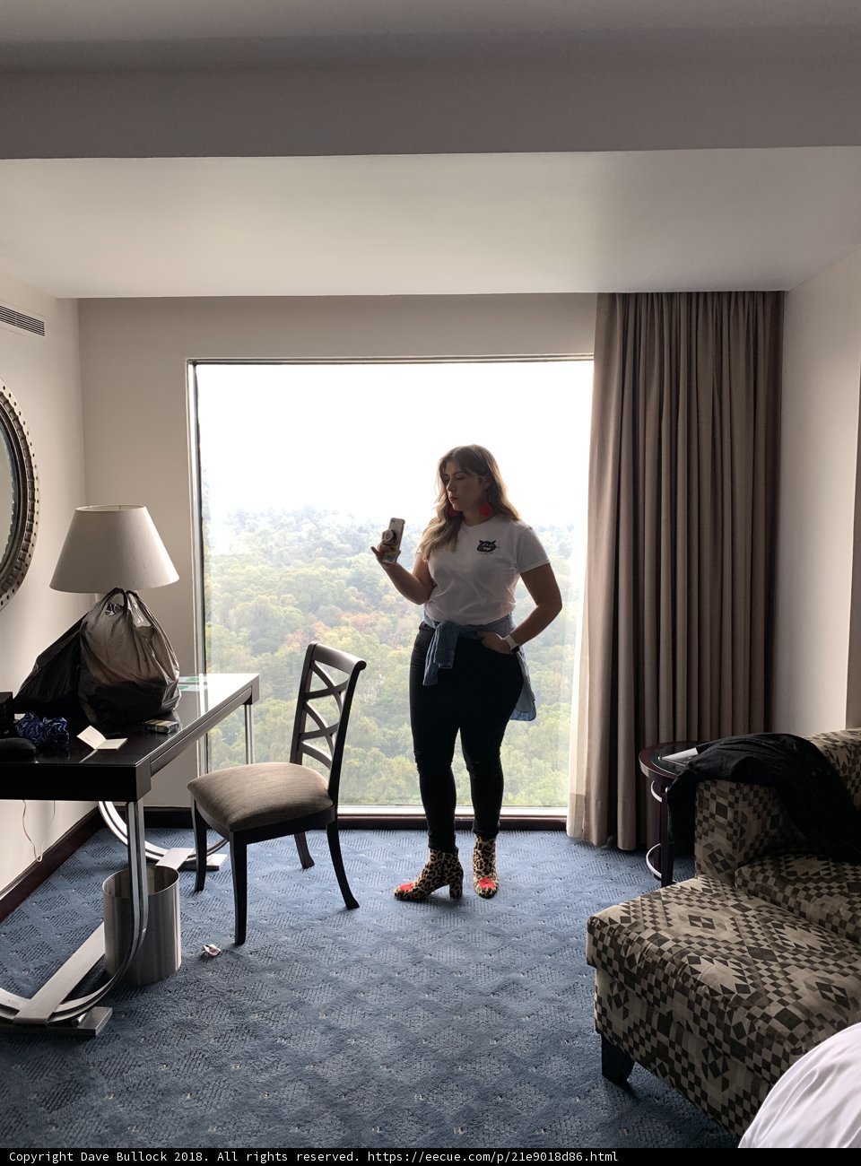 A Room with a View