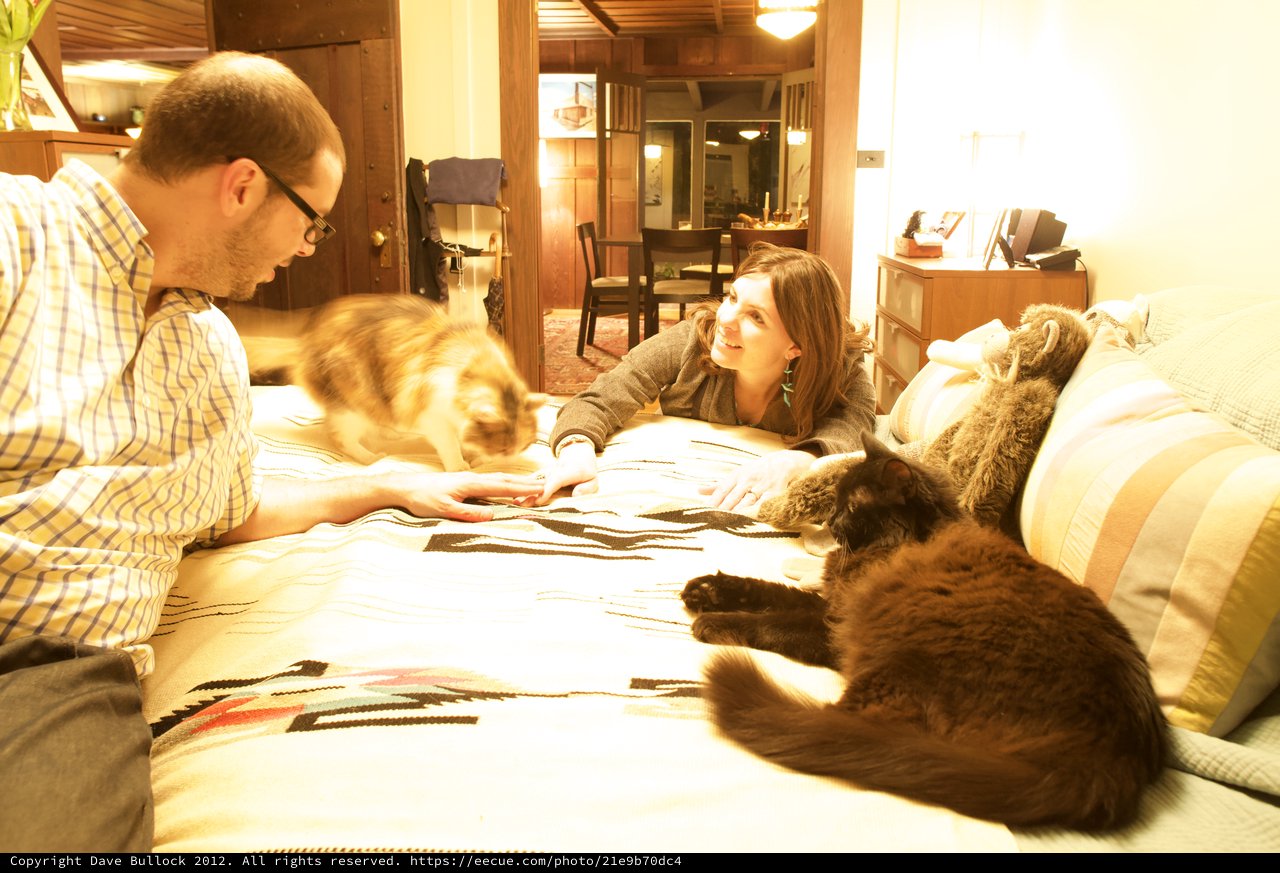 Couple Relaxing on Bed with Their Cats