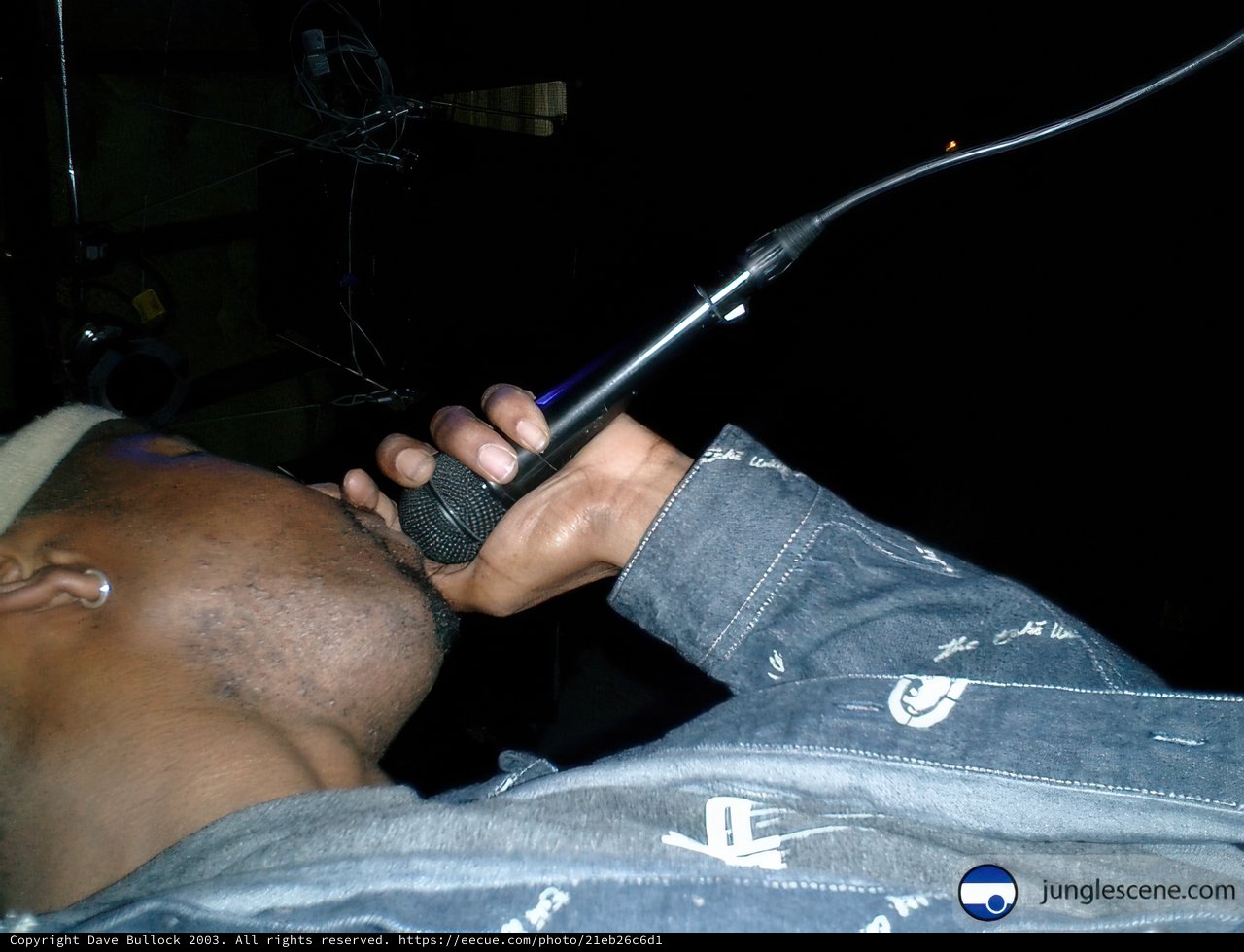 Microphone Melodies