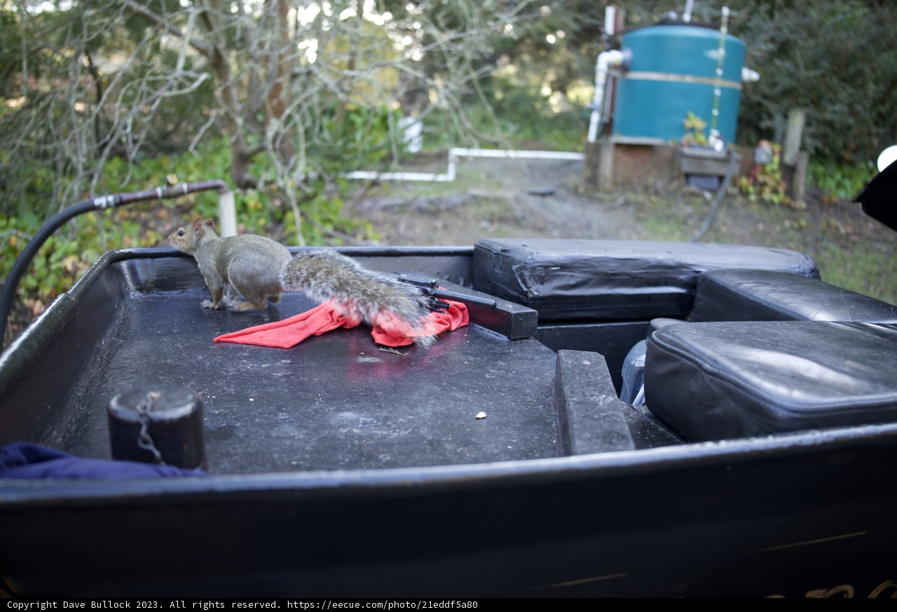 Unexpected Hitchhiker