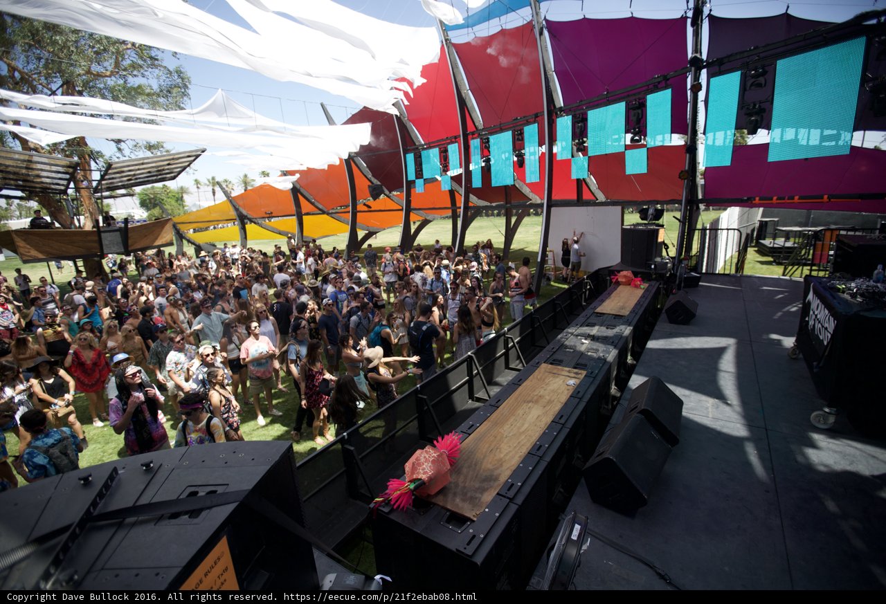The Ultimate Coachella Crowd Experience
