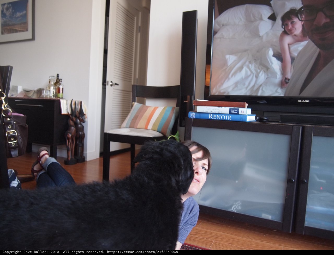 Dog Interrupts Movie Night on Living Room Floor