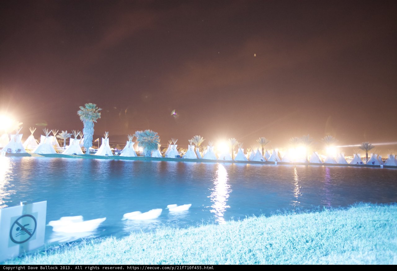 Nighttime Ducks in a Glowing Lake