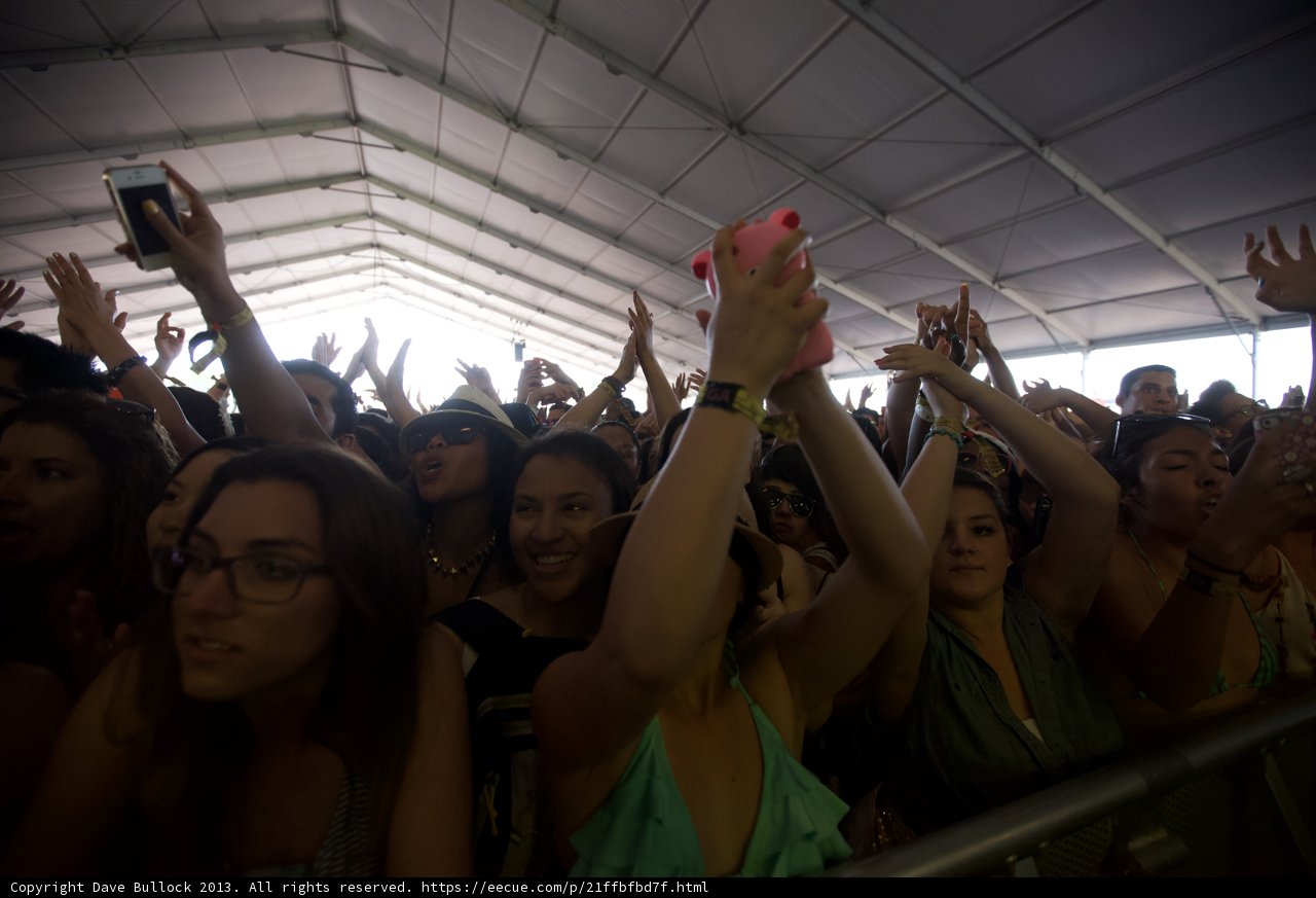 Concertgoers Go Wild