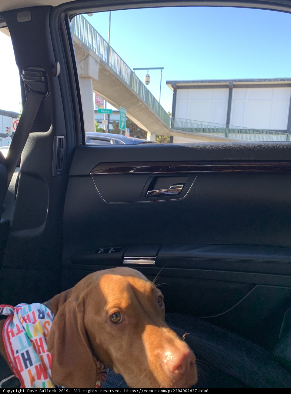 Road Trip Companion