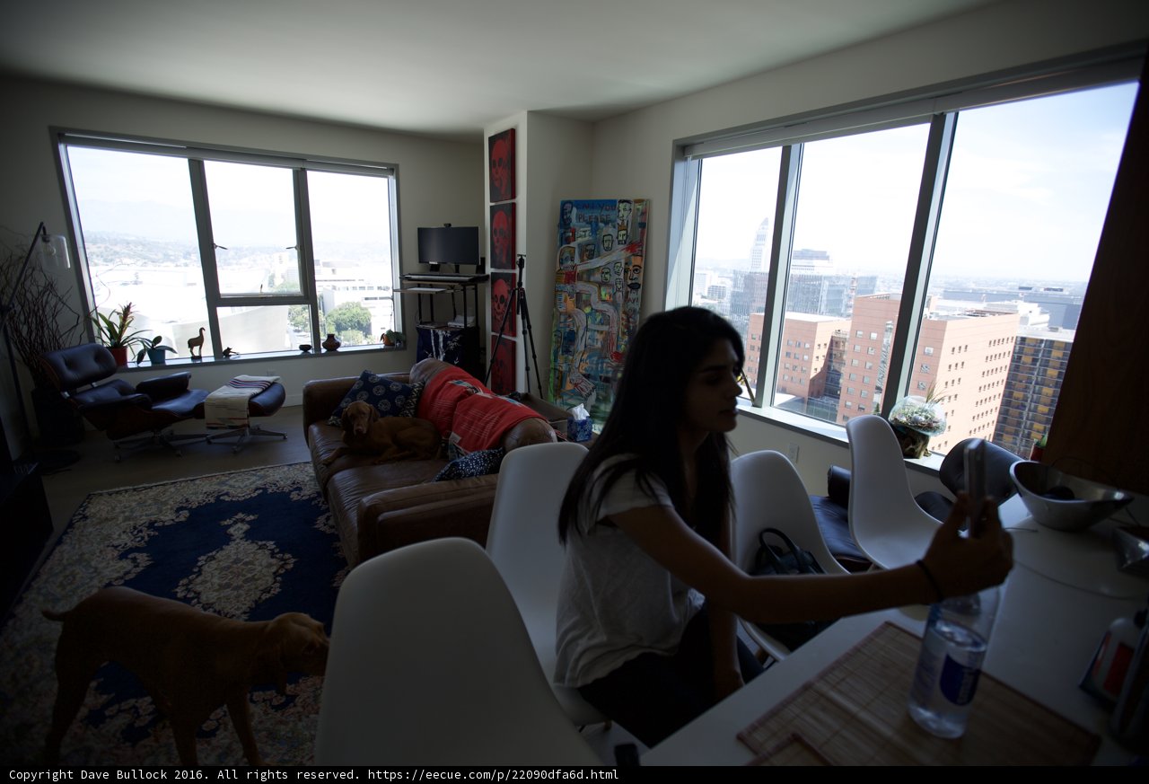 Relaxing in the Living Room