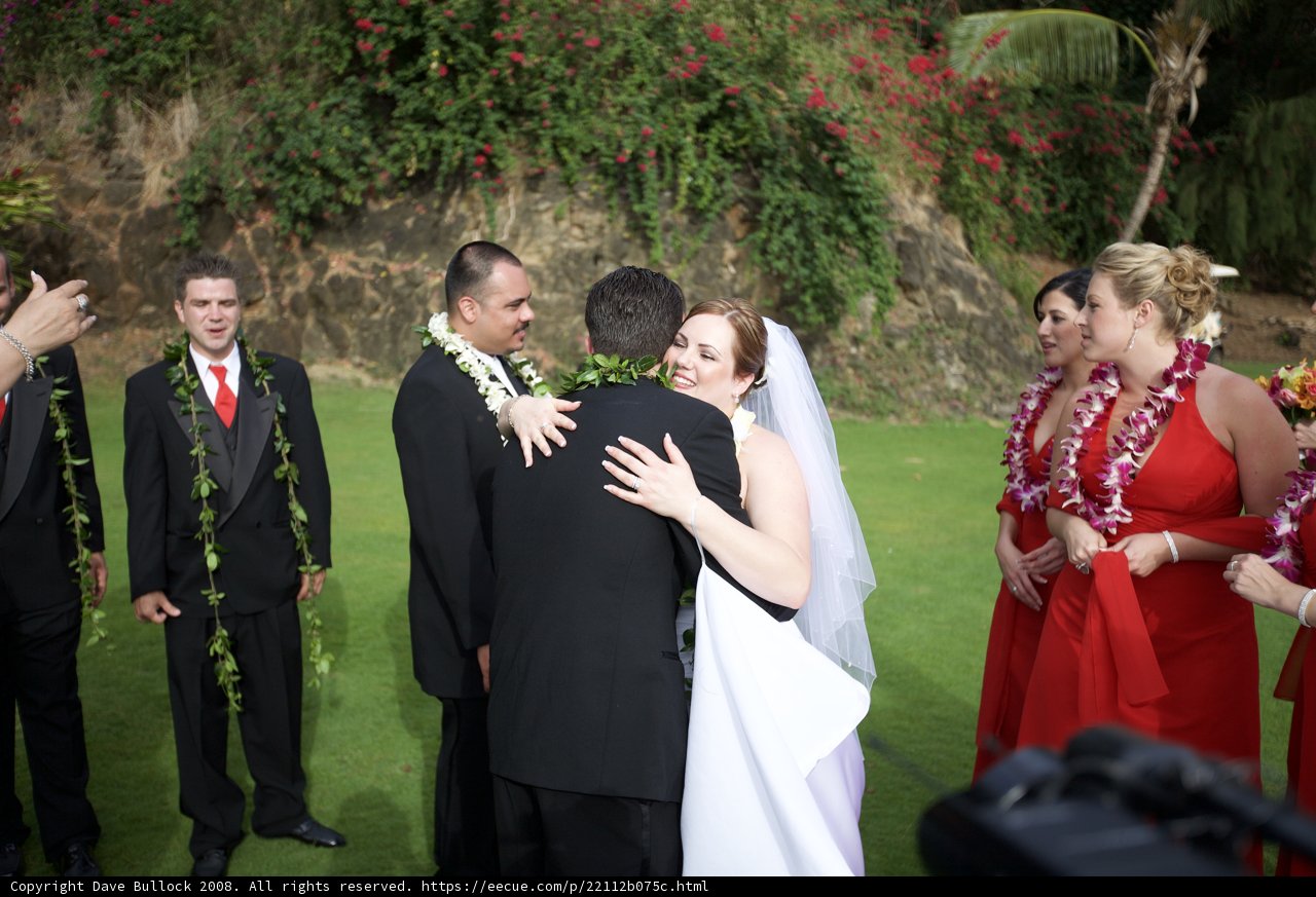 Hawaiian Wedding Bliss