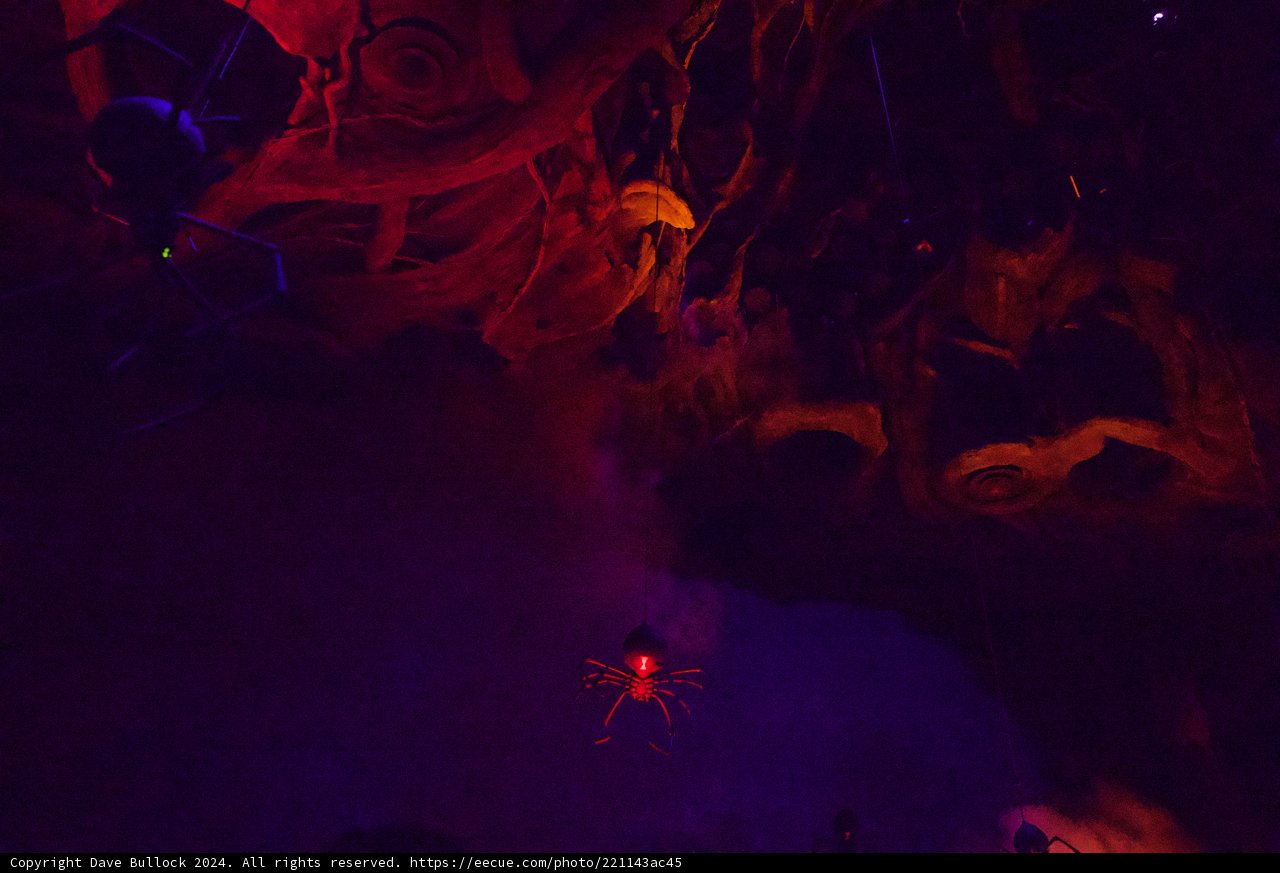 Mystical Night in Disneyland, 2024