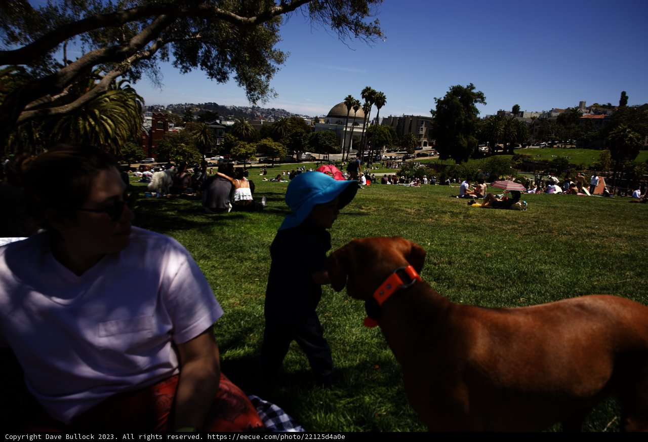 Summer Bliss at Delores Park