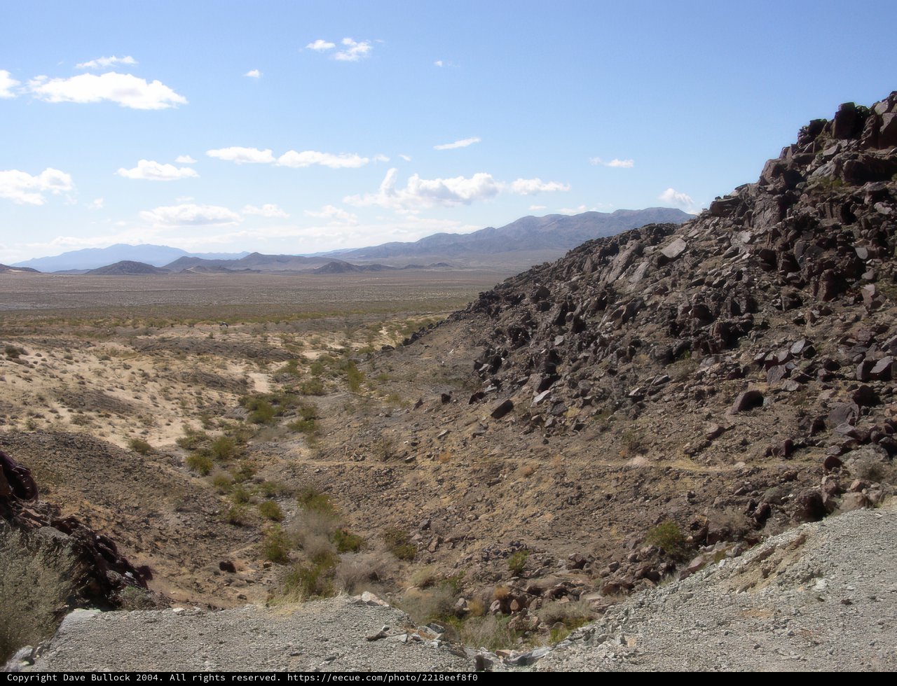 A Desert Oasis