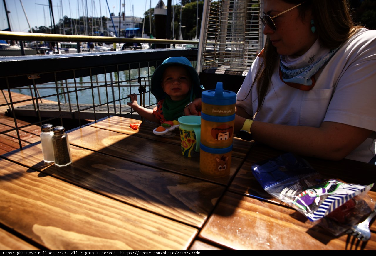 Memorable Moments in Tiburon