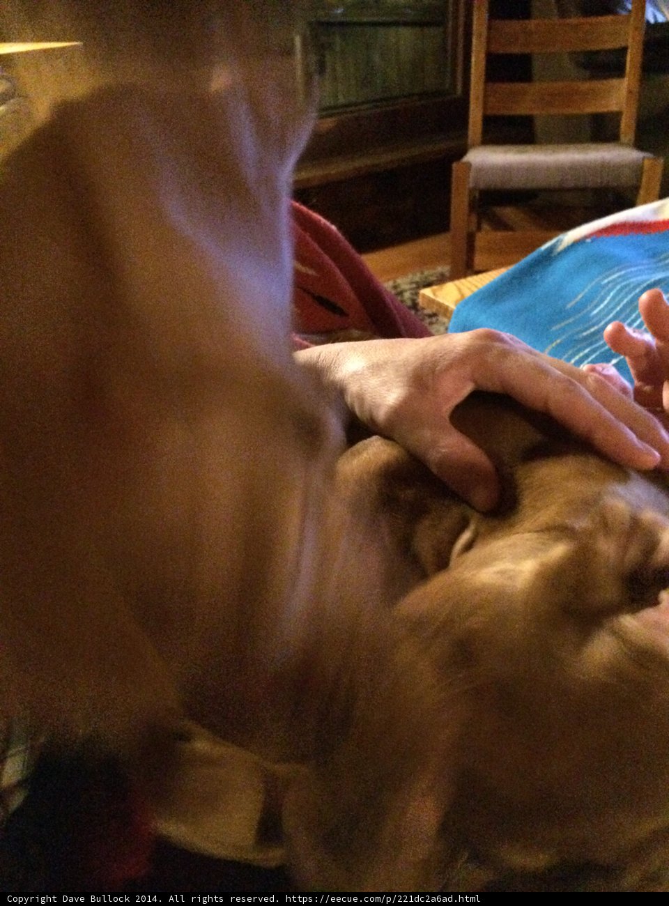 Man and Canine Companion in Altadena
