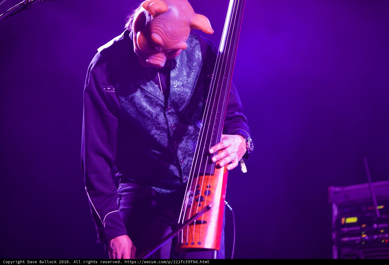 The Bassist in Action