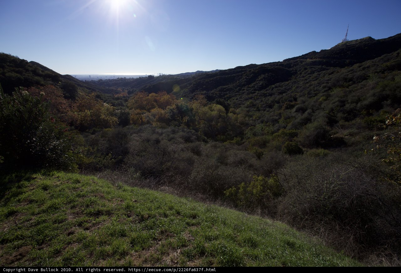 A Sunshine Moment in Griffith Park