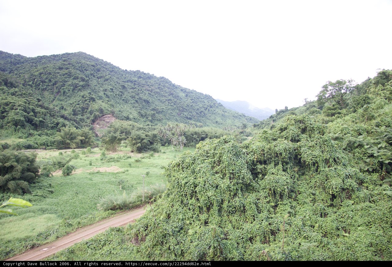 A Serene View of the Lush Green Slopes