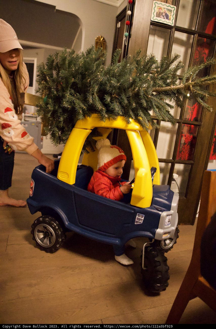 Wesley's First Christmas Adventure