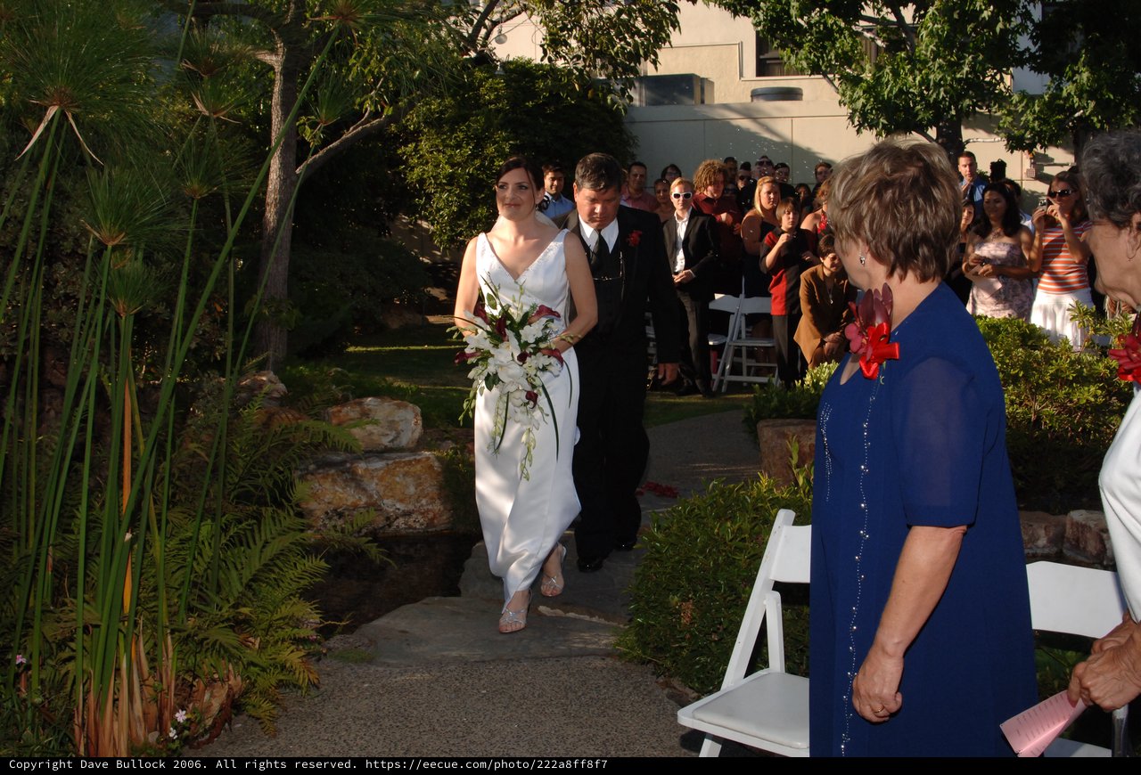 Bride Walks Down the Aisle at Garden Wedding