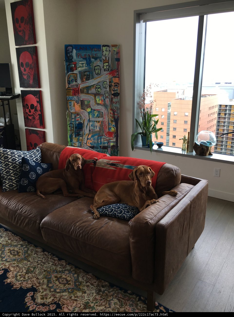 Doggy Cuddle Time on the Couch