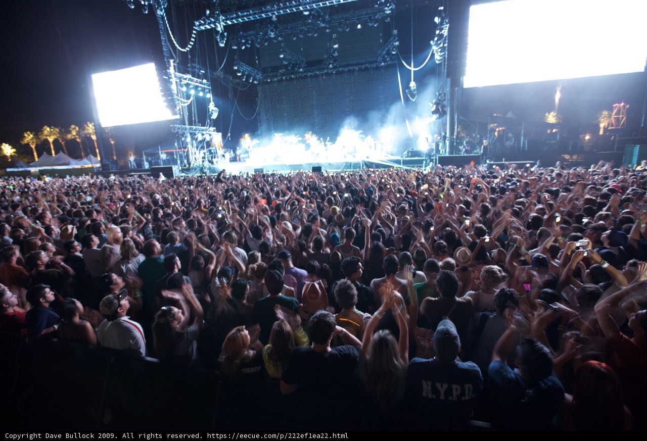 Energized Crowd at Coachella 2009