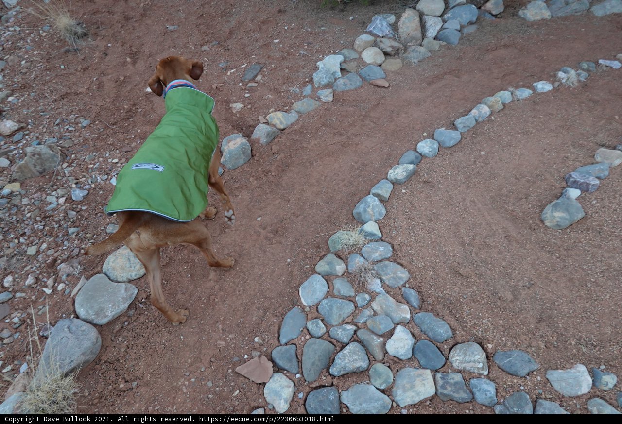 A Canine Adventure on the Rocky Path