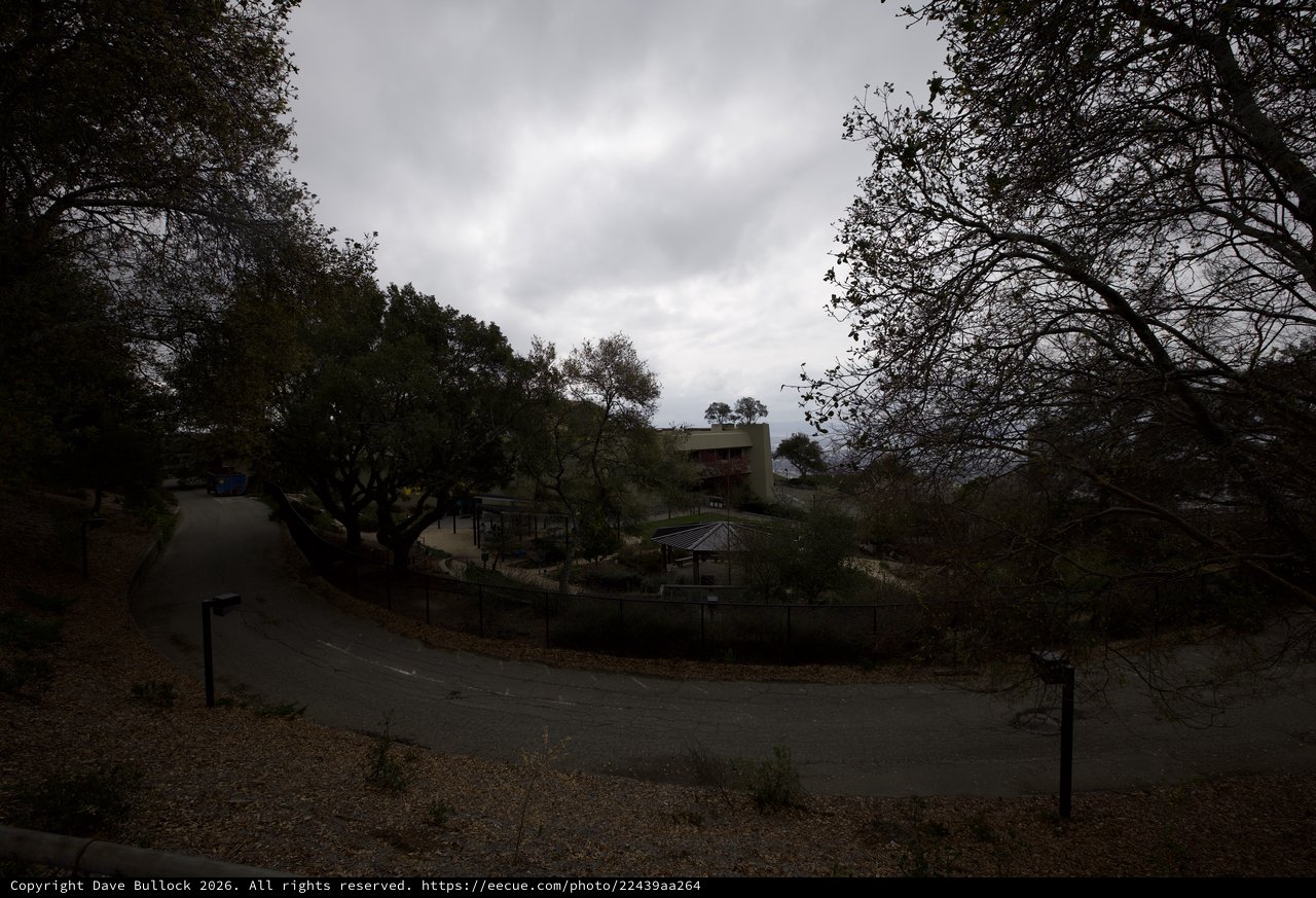 Overcast Suburban Street on a Cloudy Winter Evening