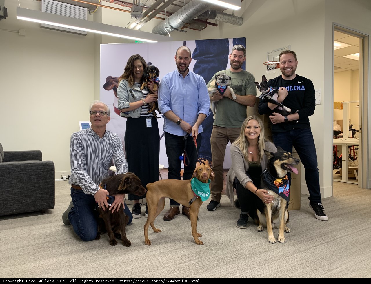 Paws and People: A Group Portrait with Furry Friends