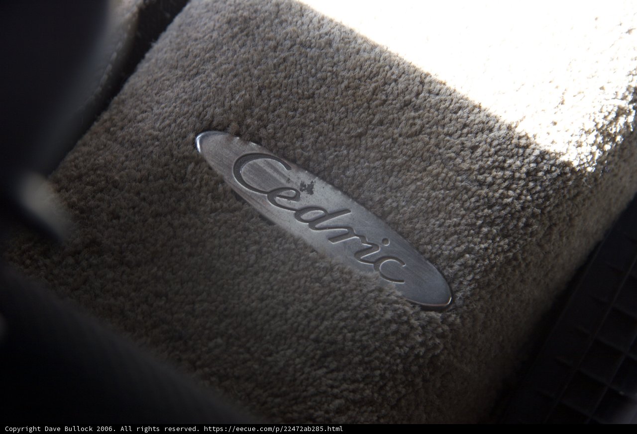 Car Emblem Cushion