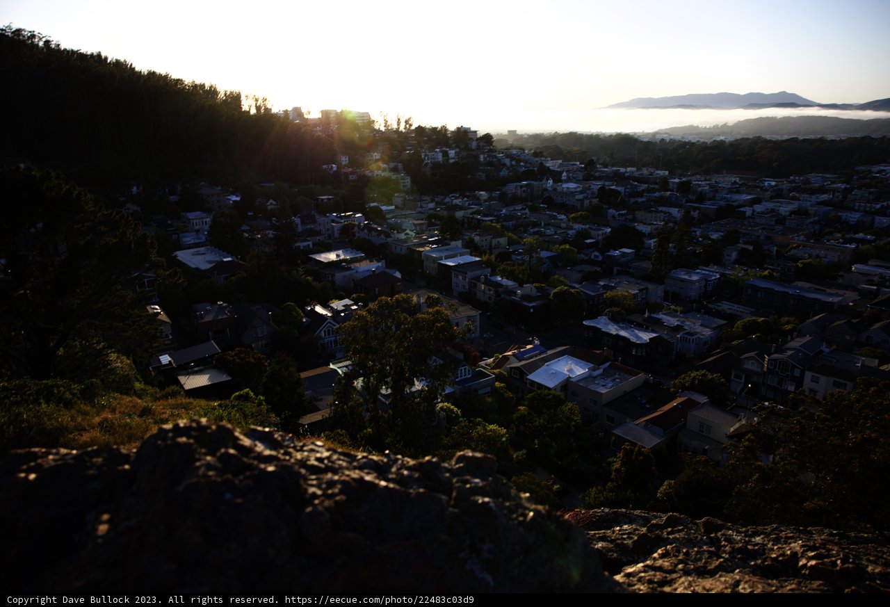 Hillside Haven: Cityscapes and Nature Unite