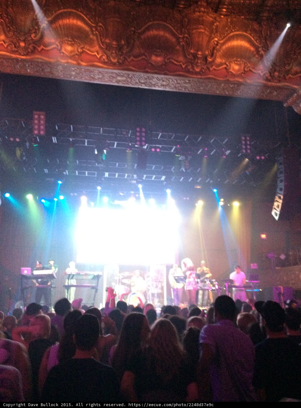 Nightlife music gives life to audience