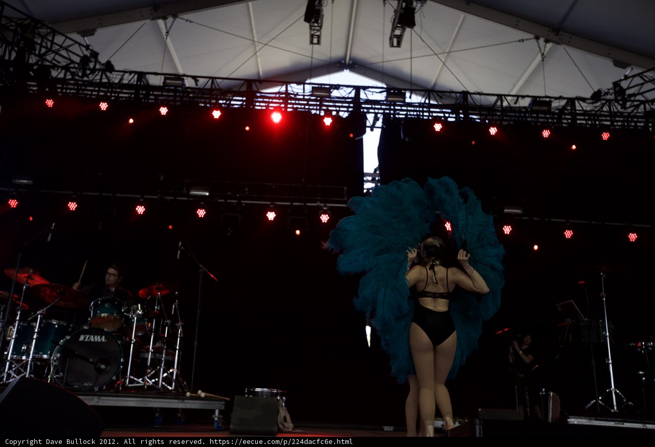 Blue Feathered Entertainer Shines on Stage