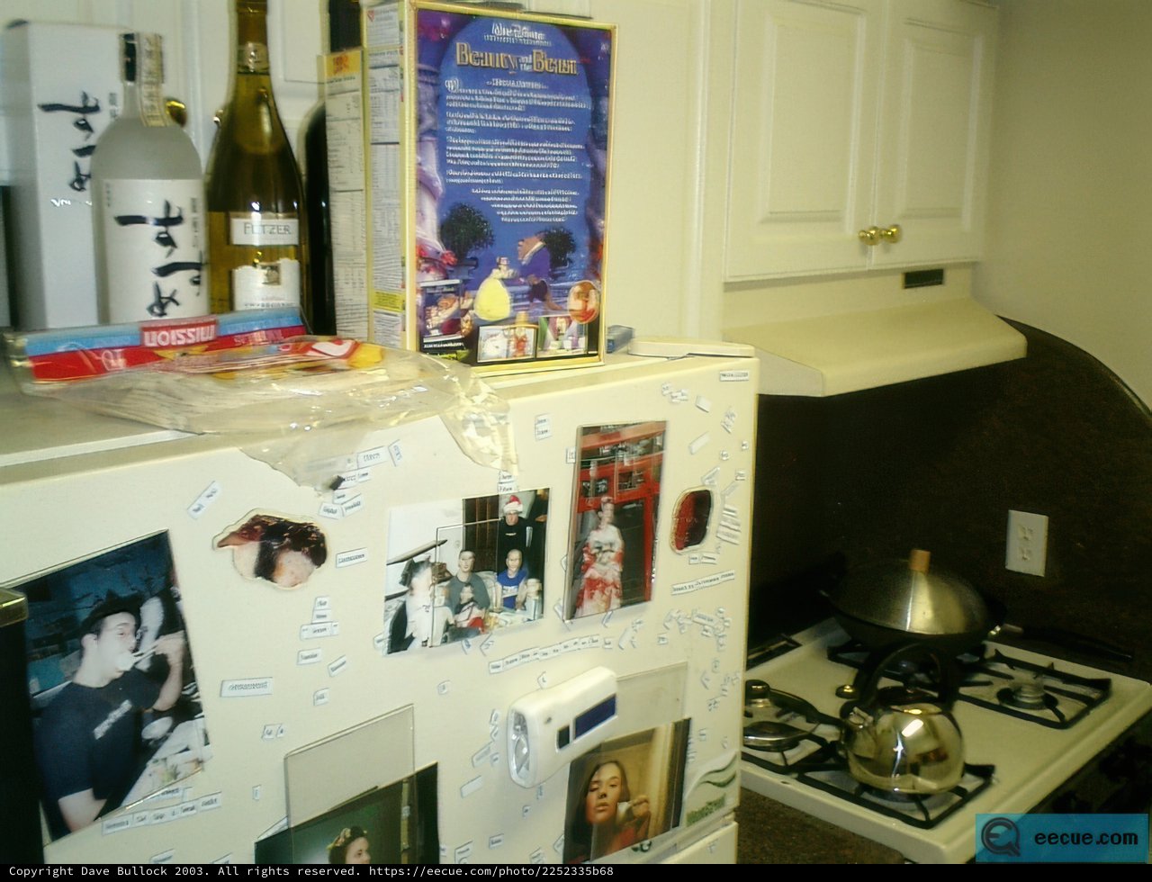 Memories on the Fridge