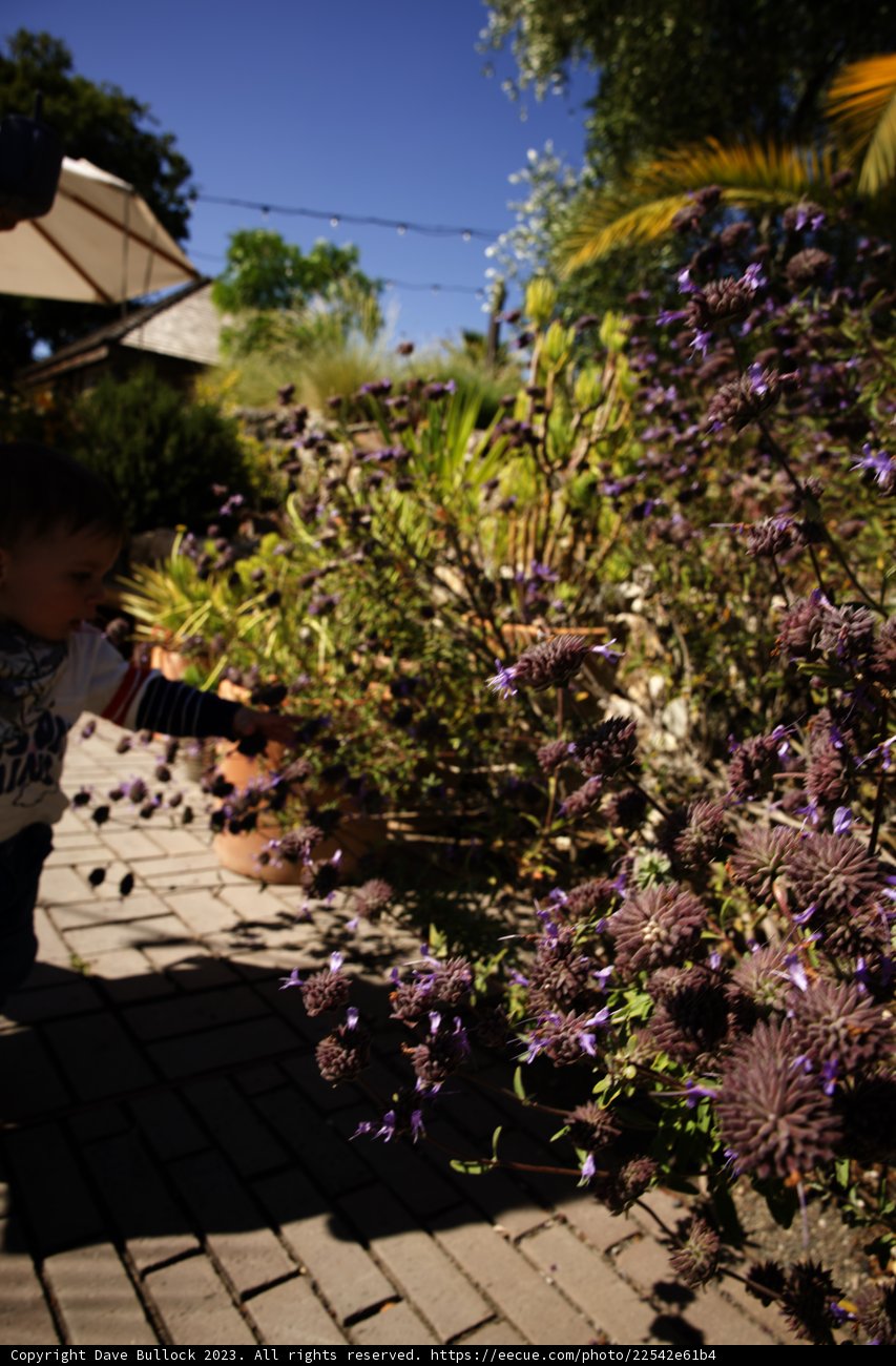 A Young Explorer Discovers Nature's Beauty