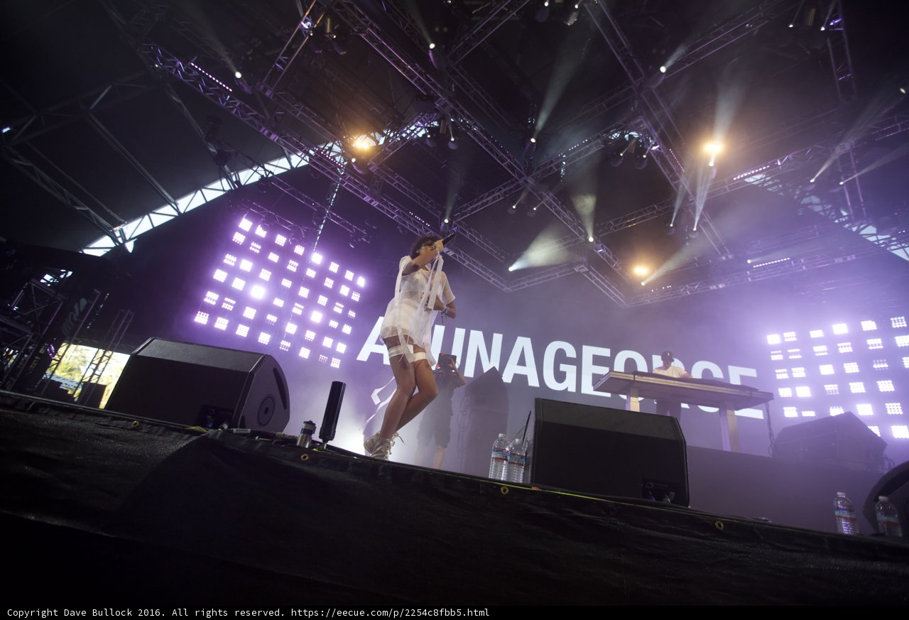 Spotlight on Solo Performer