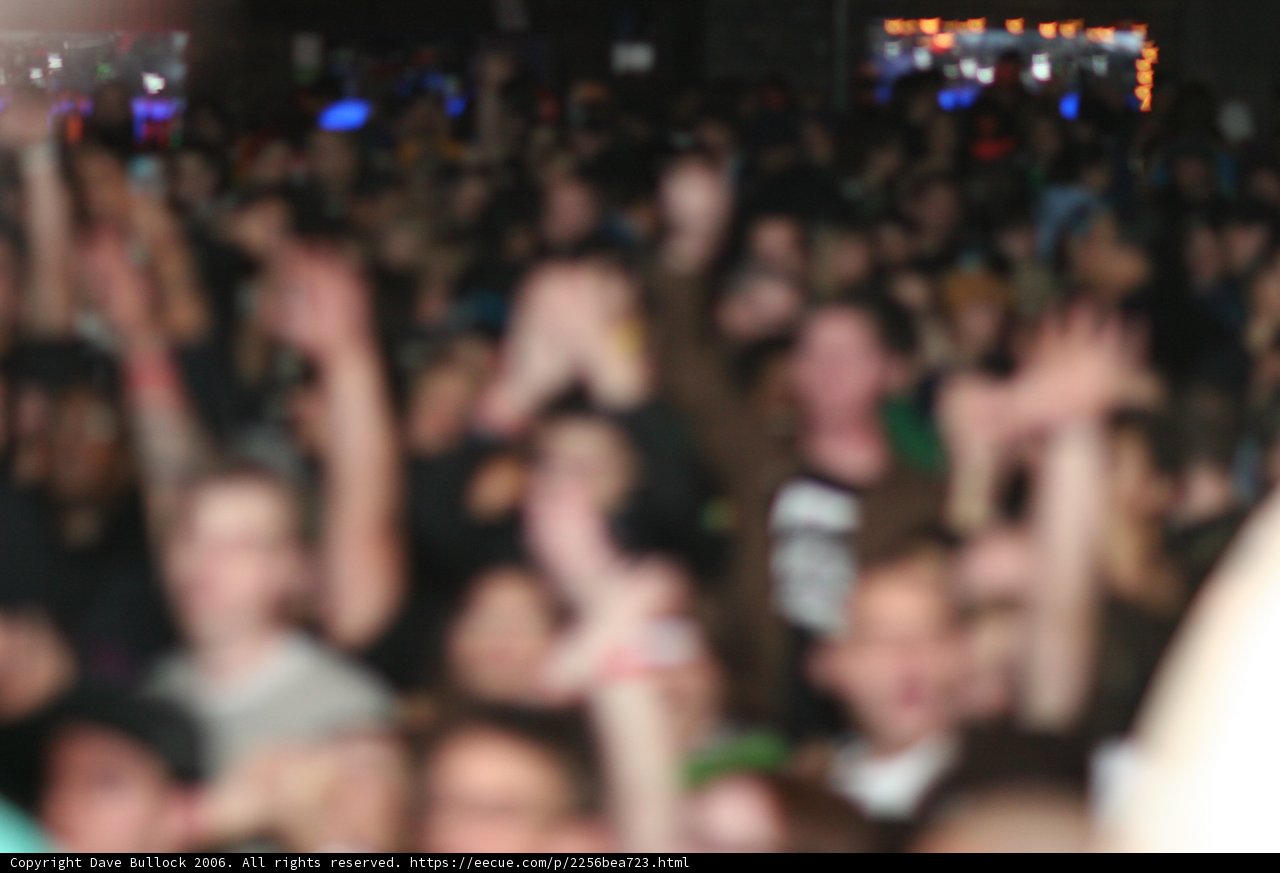 Rocking with the Crowd