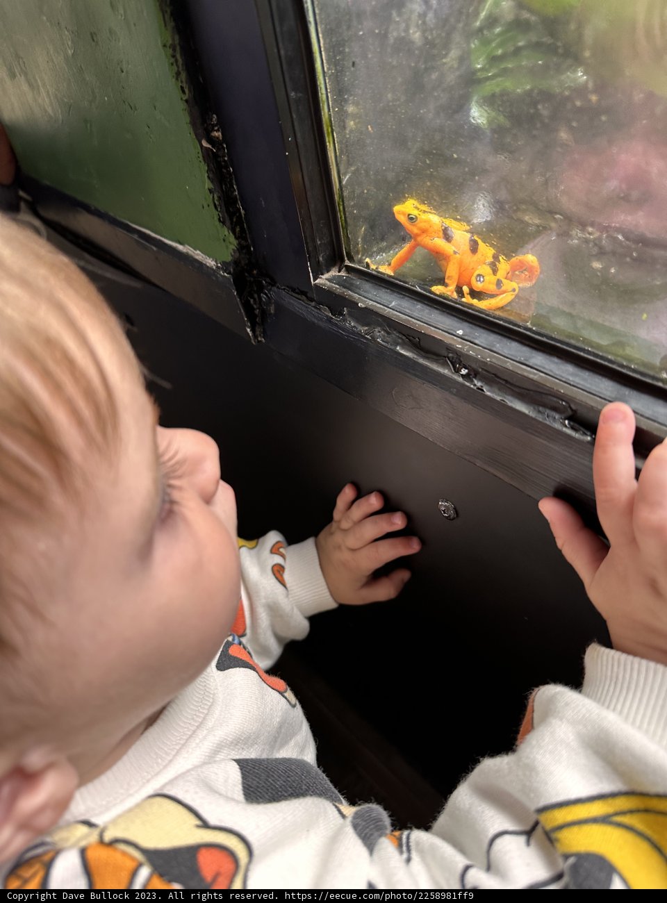Childish Curiosity: First Encounter with Sea Life