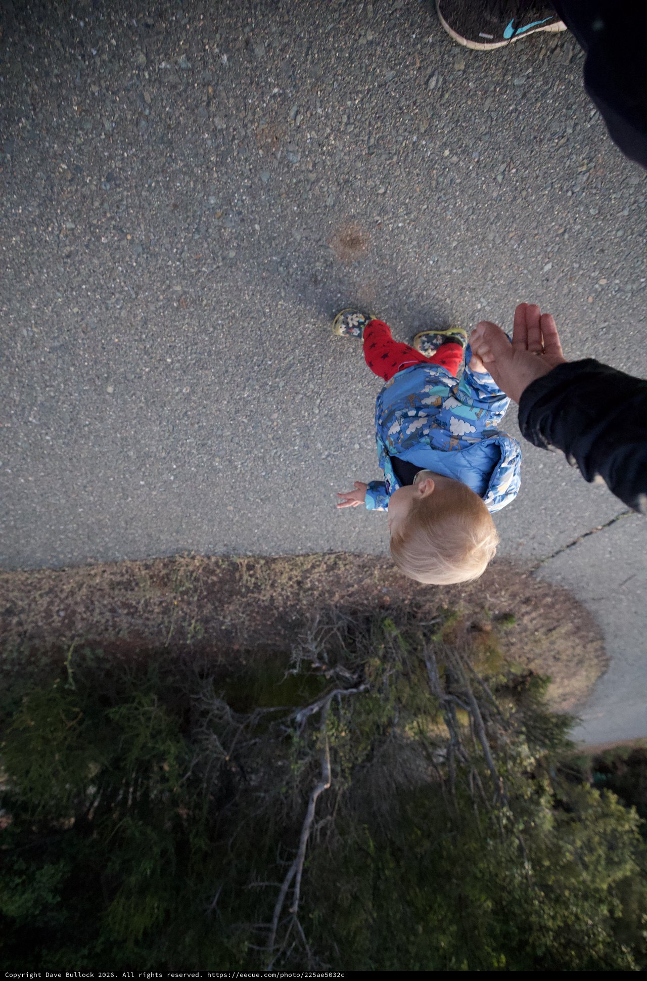Toddler's First Steps on Mount Diablo Trail