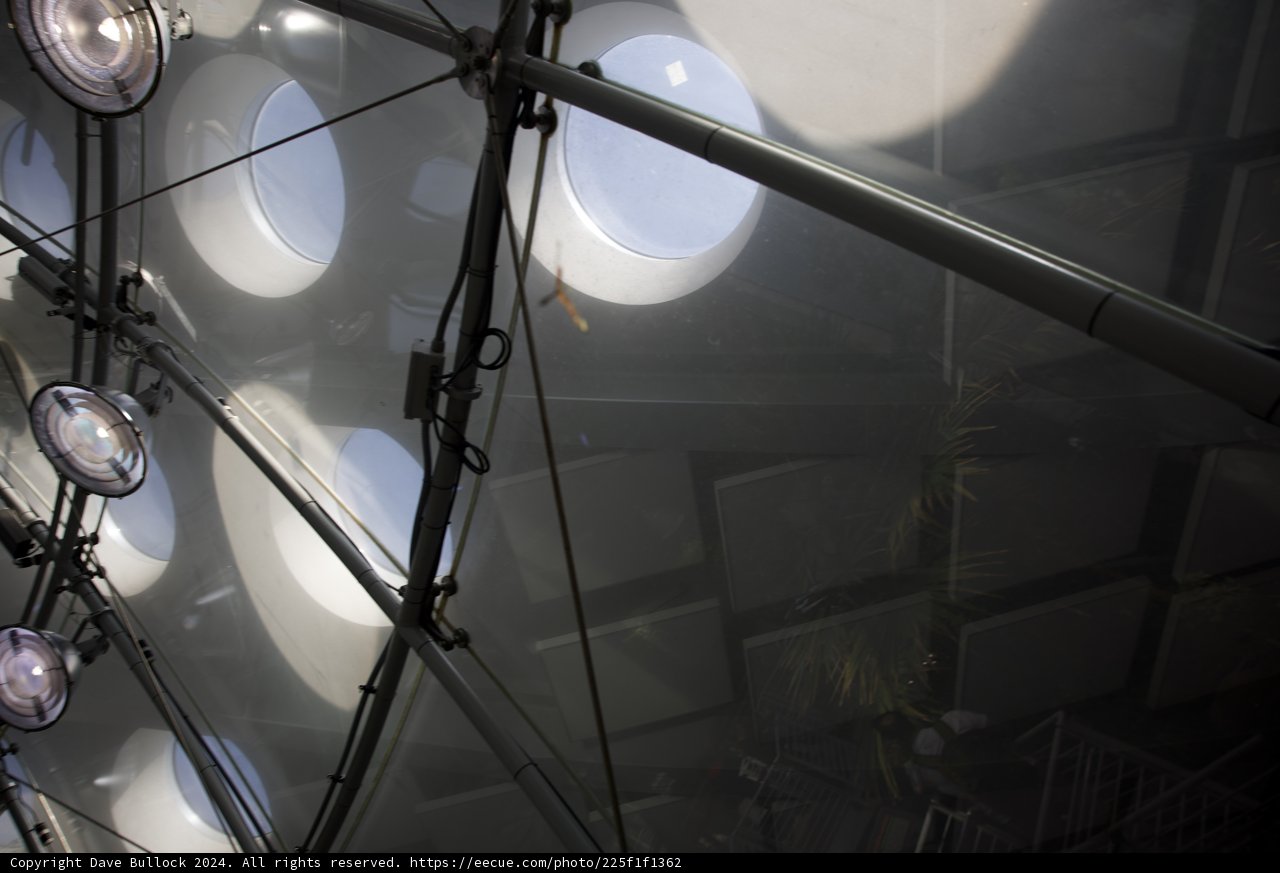 The Illuminated Spherescape of the Rainforest