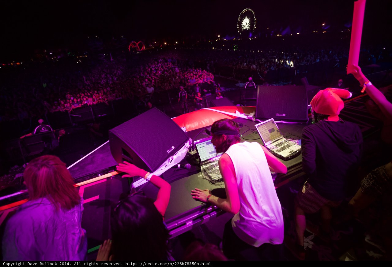 Nighttime Concert Crowd