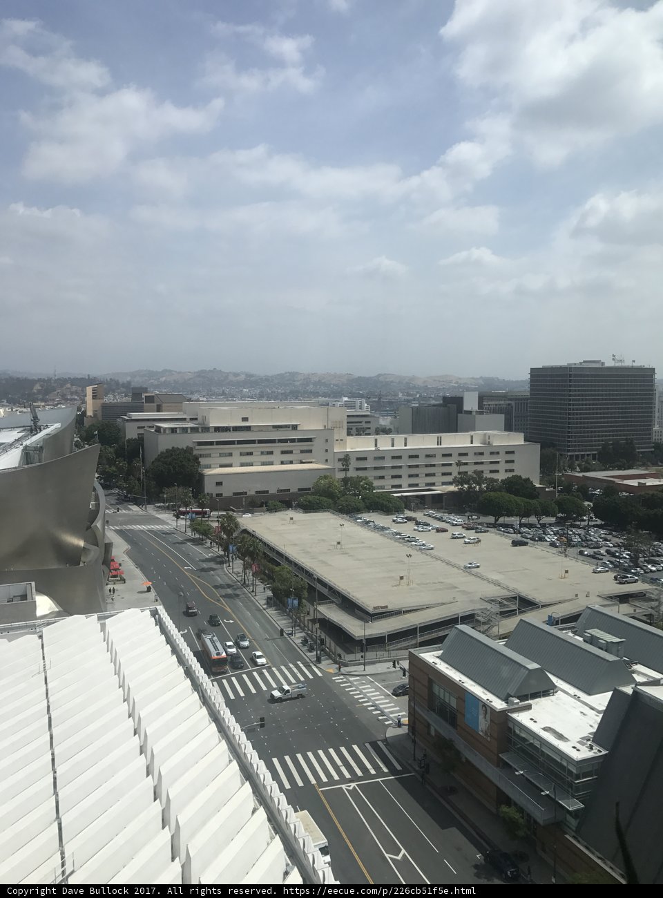 Overlooking the Urban Jungle