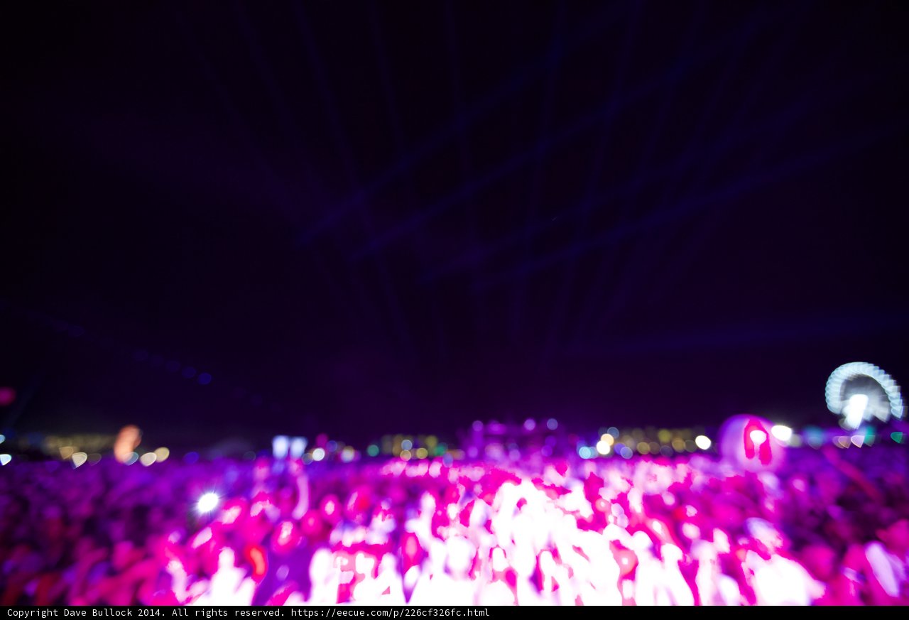 Bright Lights, Wild Crowd