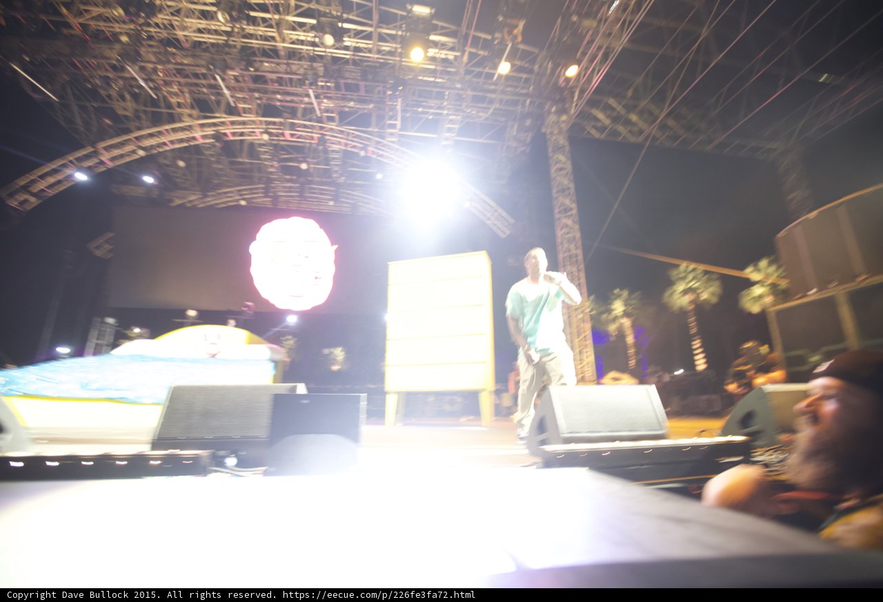Tyler Wide Stage Balloon