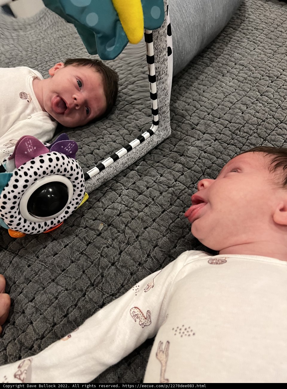 Baby's First Reflection