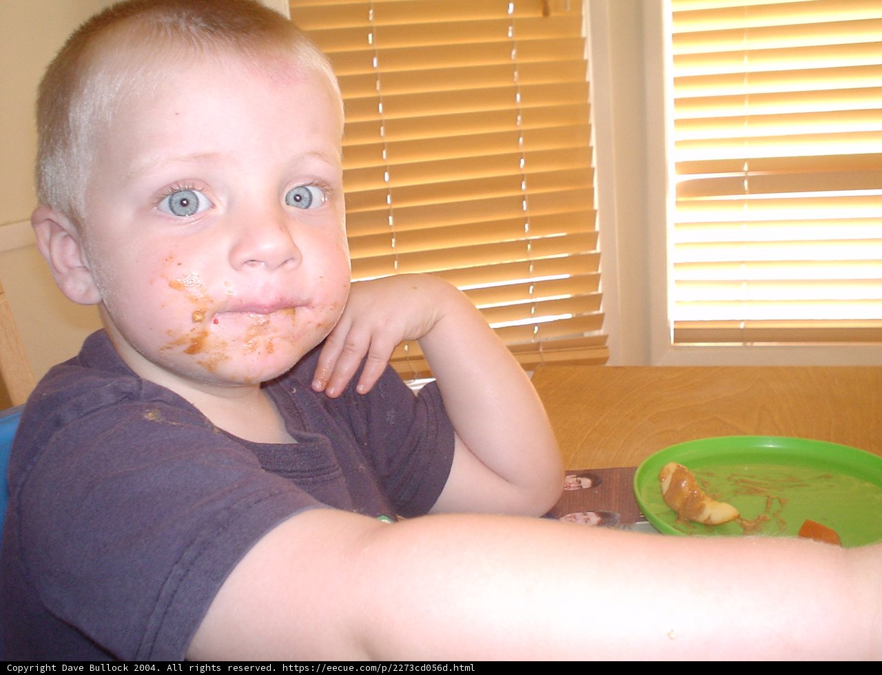 Food Face