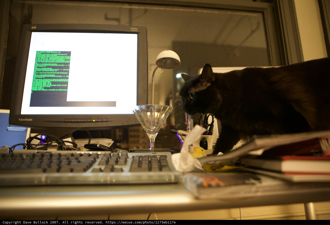 Nighttime Technology Companion