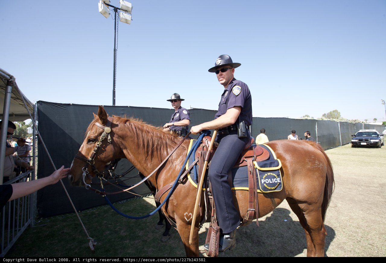Mounted Officers on Patrol