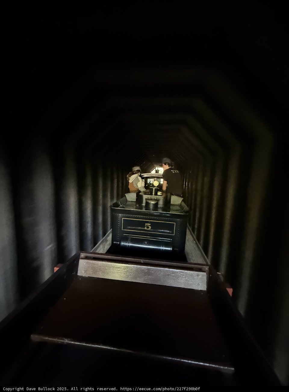 Journey Through Shadows