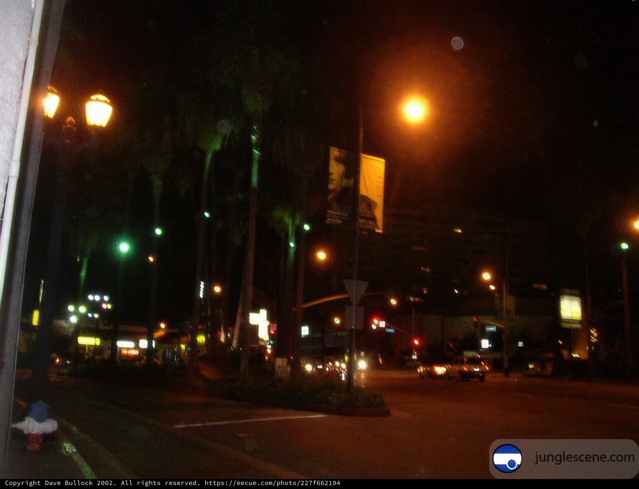 Urban Nightlife