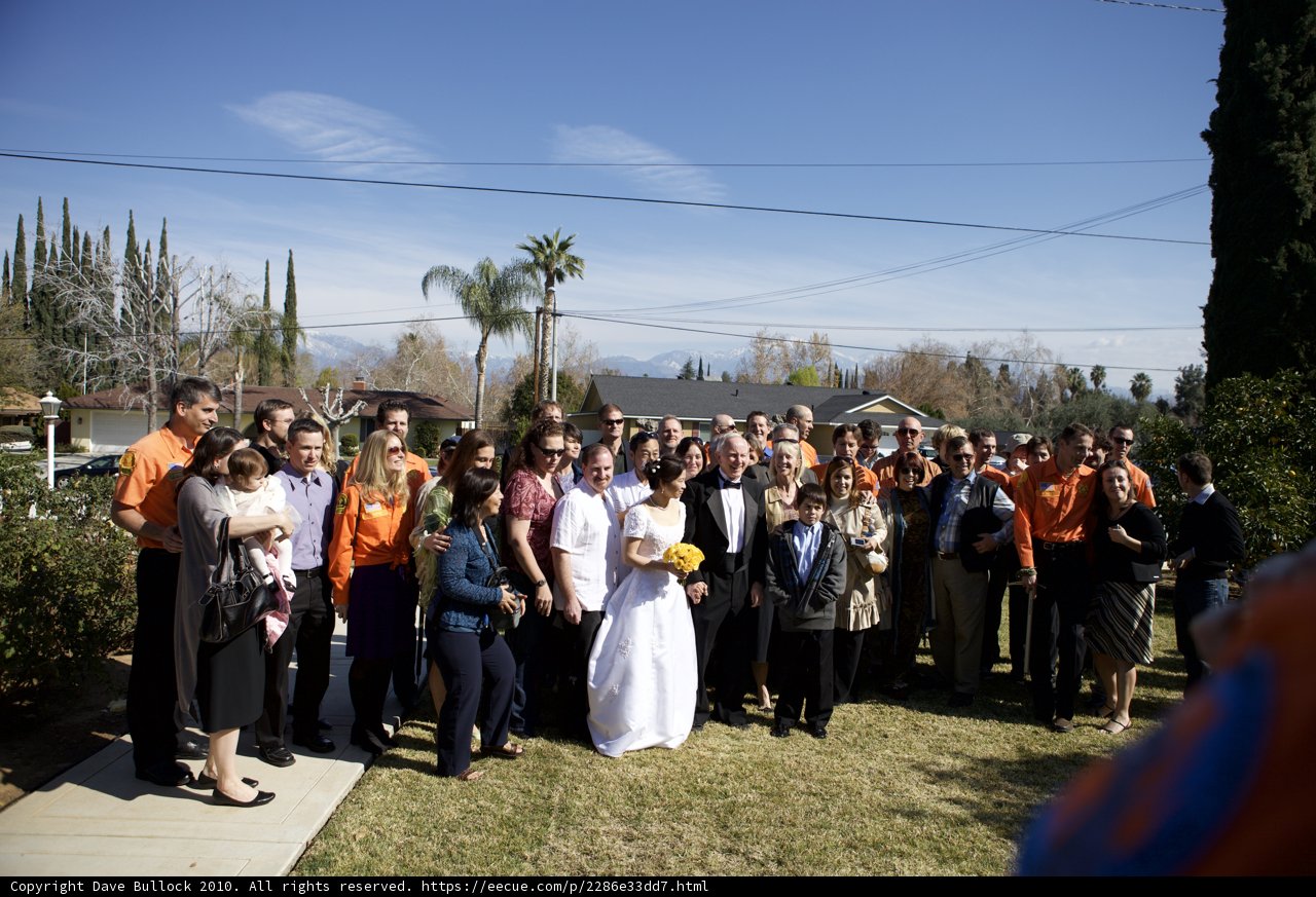 The Wedding Party in Orange
