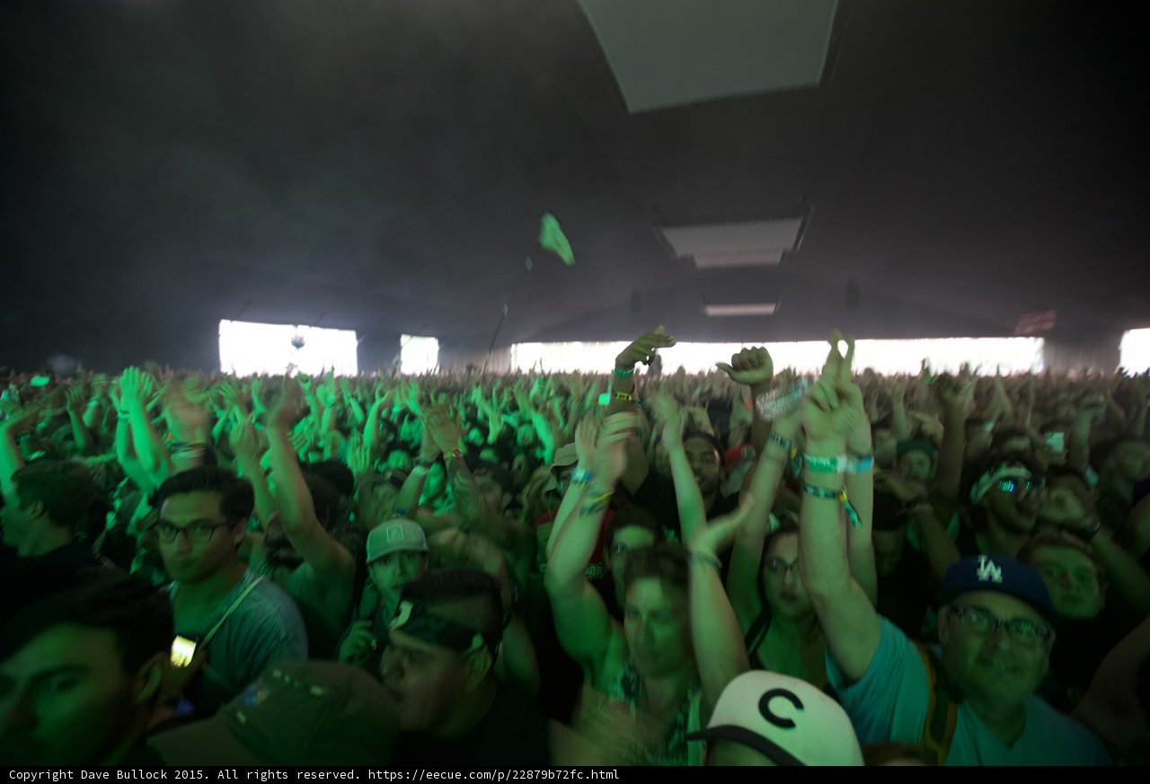 Green Crowd Fists Up