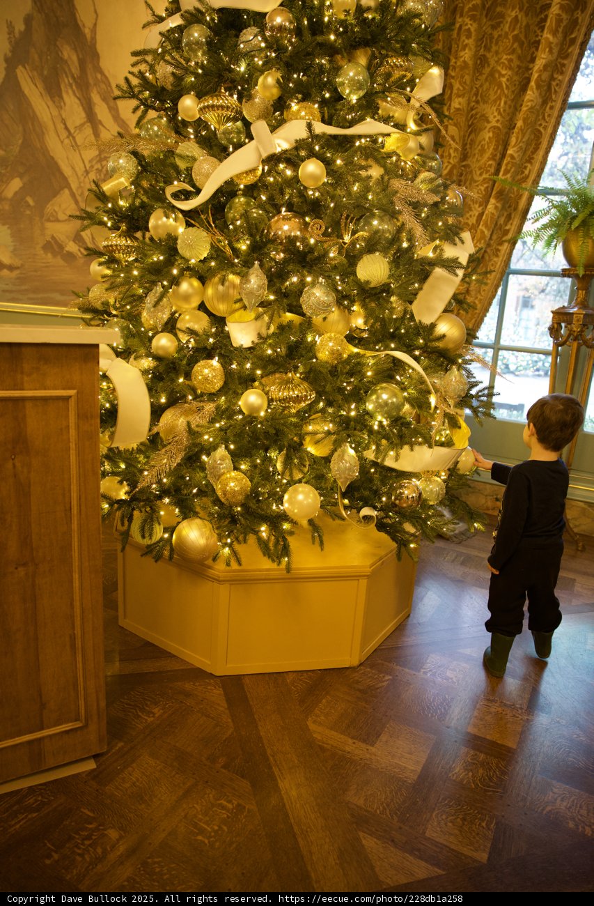 Enchanted by the Christmas Glow